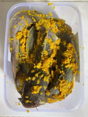 Lele Marinasi +-250gr