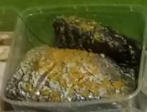 Gurame marinasi 1kg