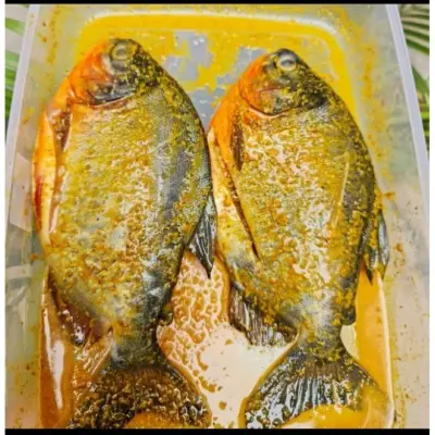 ikan bawal marinasi