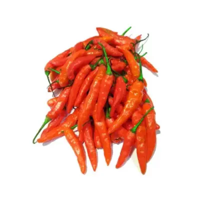 cabe rawit merah 1 ons
